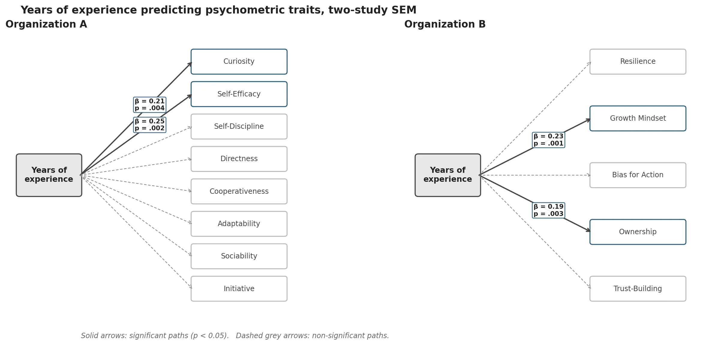 A two-panel structural equation modeling diagram. Left panel titled "Organization A": years-of-experience shown as a single box on the left, with seven competency boxes on the right (Curiosity, Self-Efficacy, Self-Discipline, Directness, Cooperativeness, Adaptability, Sociability). Two solid black arrows connect years-of-experience to Curiosity (β = 0.21, p = 0.004) and to Self-Efficacy (β = 0.25, p = 0.002). The remaining five paths are shown as dashed grey arrows for non-significance, with their tiny coefficient values near zero. Right panel titled "Organization B": years-of-experience shown as a single box on the left, with five value boxes on the right (Resilience, Growth Mindset, Bias for Action, Ownership, Trust-Building). Two solid black arrows connect years-of-experience to Growth Mindset (β = 0.23, p < 0.001) and to Ownership (β = 0.19, p = 0.003). The remaining three paths are shown as dashed grey arrows for non-significance. Caption italicizes that both models converge on the same two-trait pattern: a curiosity-family trait and a self-efficacy or ownership-family trait grow with tenure, while the other measured traits show no meaningful relationship to years of experience.